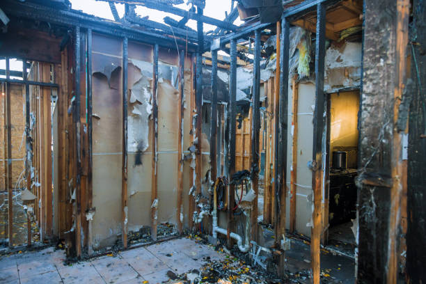 Professional Fire Damage Repair technician working in Woodland Park, CO
